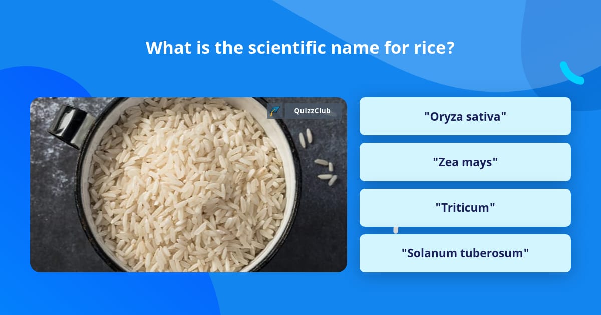 what-is-the-scientific-name-for-rice-trivia-answers-quizzclub