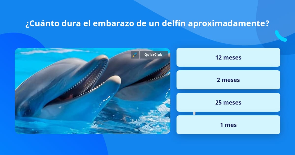 ¿Cuánto dura el embarazo de un... Las Preguntas Trivia ¿Cuánto dura el embarazo de un... Las Preguntas Trivia