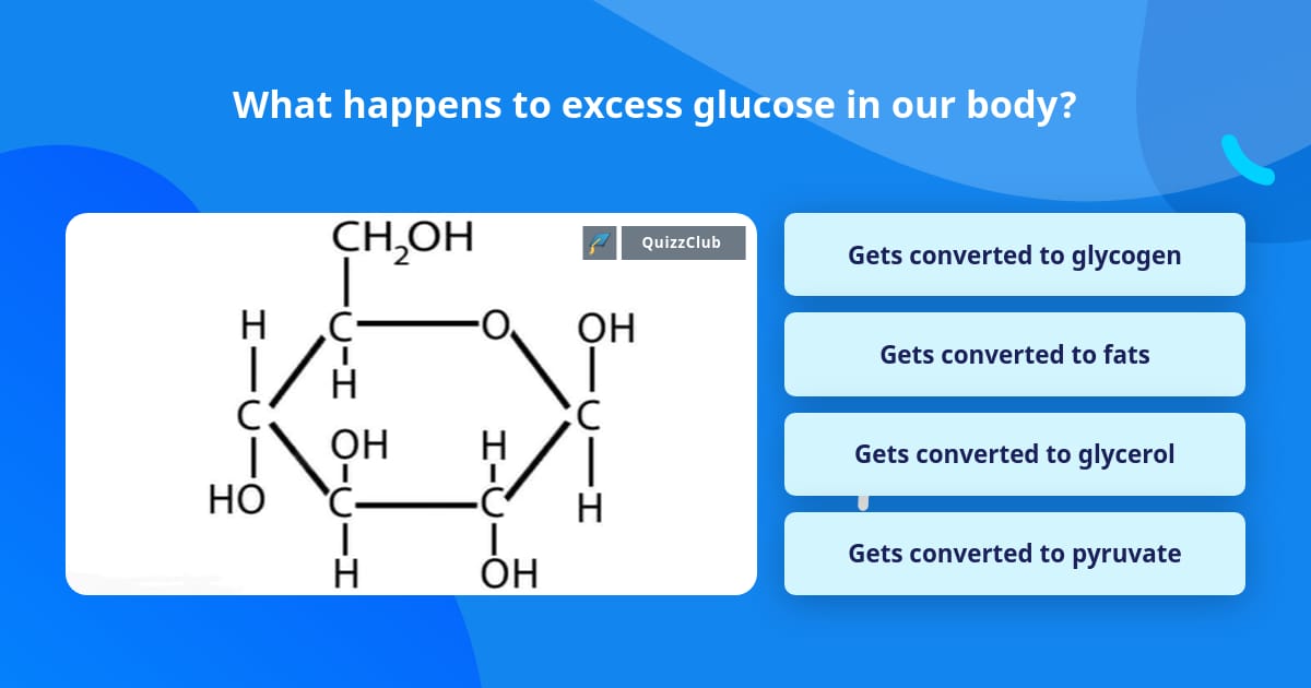 what-happens-to-excess-glucose-in-trivia-questions-quizzclub