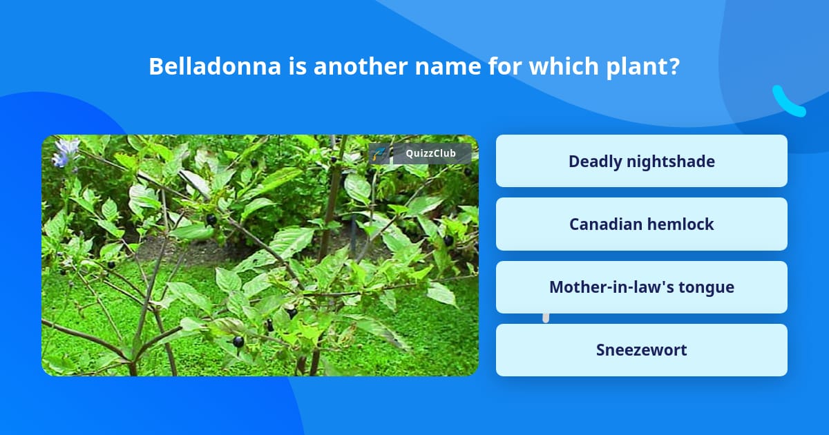 belladonna-is-another-name-for-which-trivia-answers-quizzclub