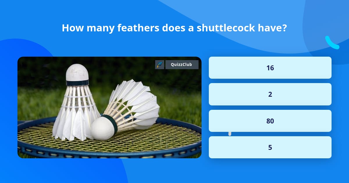 How many feathers does a shuttlecock have new arrivals