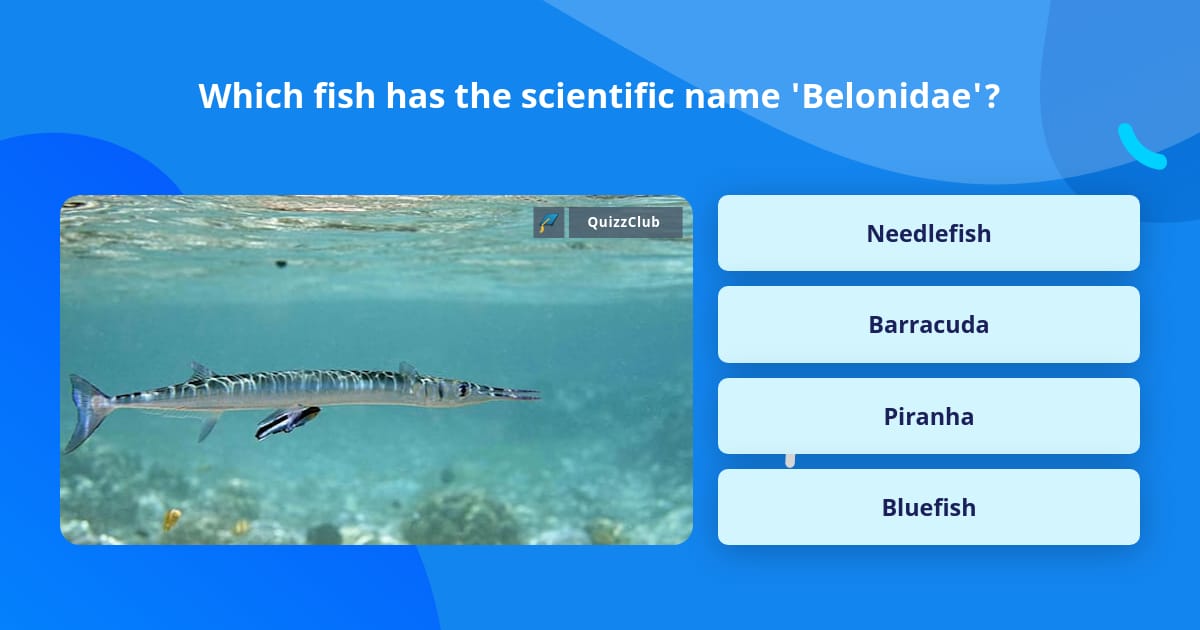 which-fish-has-the-scientific-name-trivia-questions-quizzclub