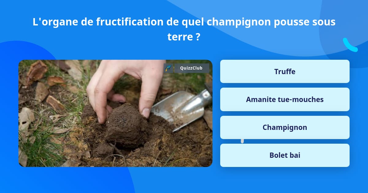La Fructification Animation L'organe de fructification de quel... | Réponses au questionnaire