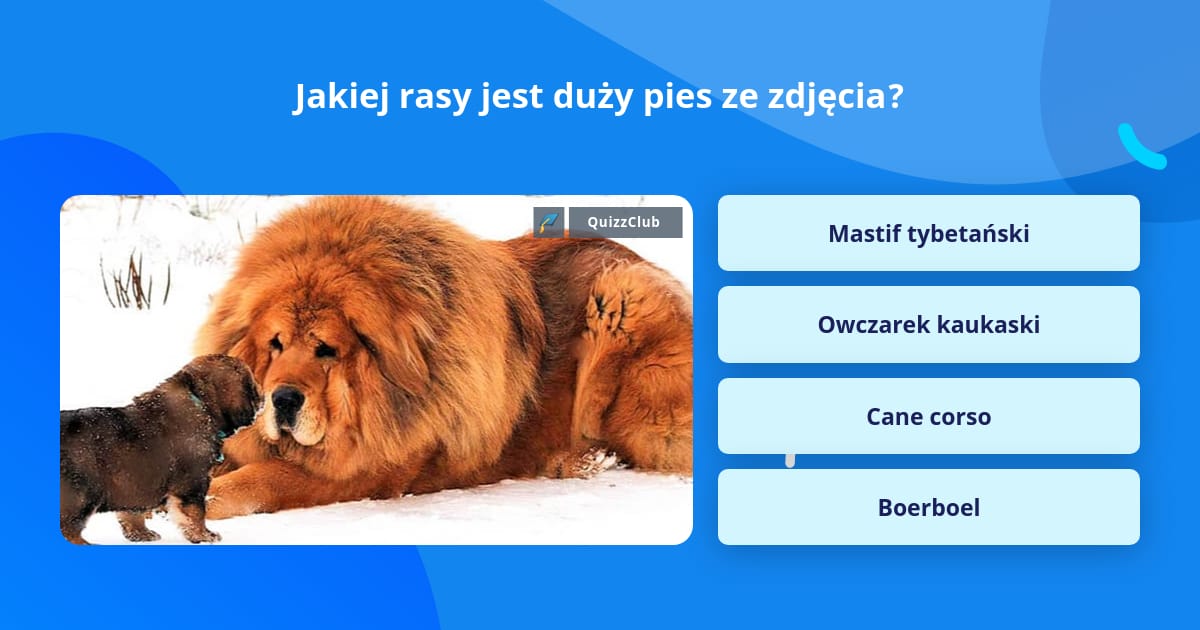 Jakiej Rasy Jest Pies Fit Lovers Jakiej rasy jest duży pies ze zdjęcia? | Odpowiedzi na pytania