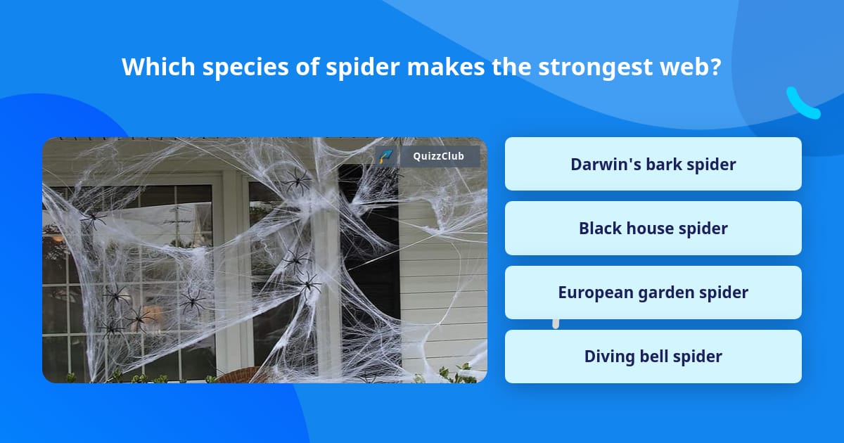 Which species of spider makes the... | Trivia Questions | QuizzClub