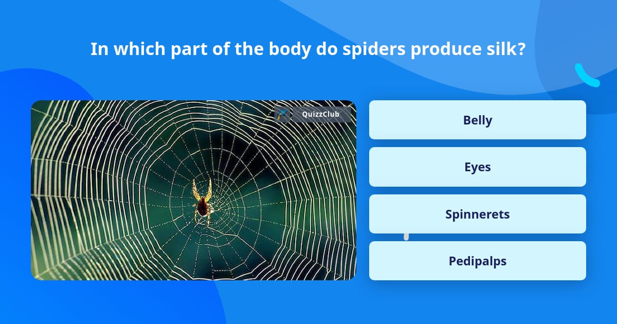 In which part of the body do spiders... | Trivia Answers | QuizzClub