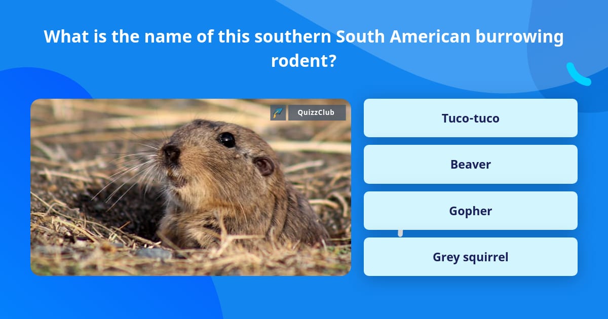 Southern Trivia What is the name of this southern... | Trivia Questions | QuizzClub
