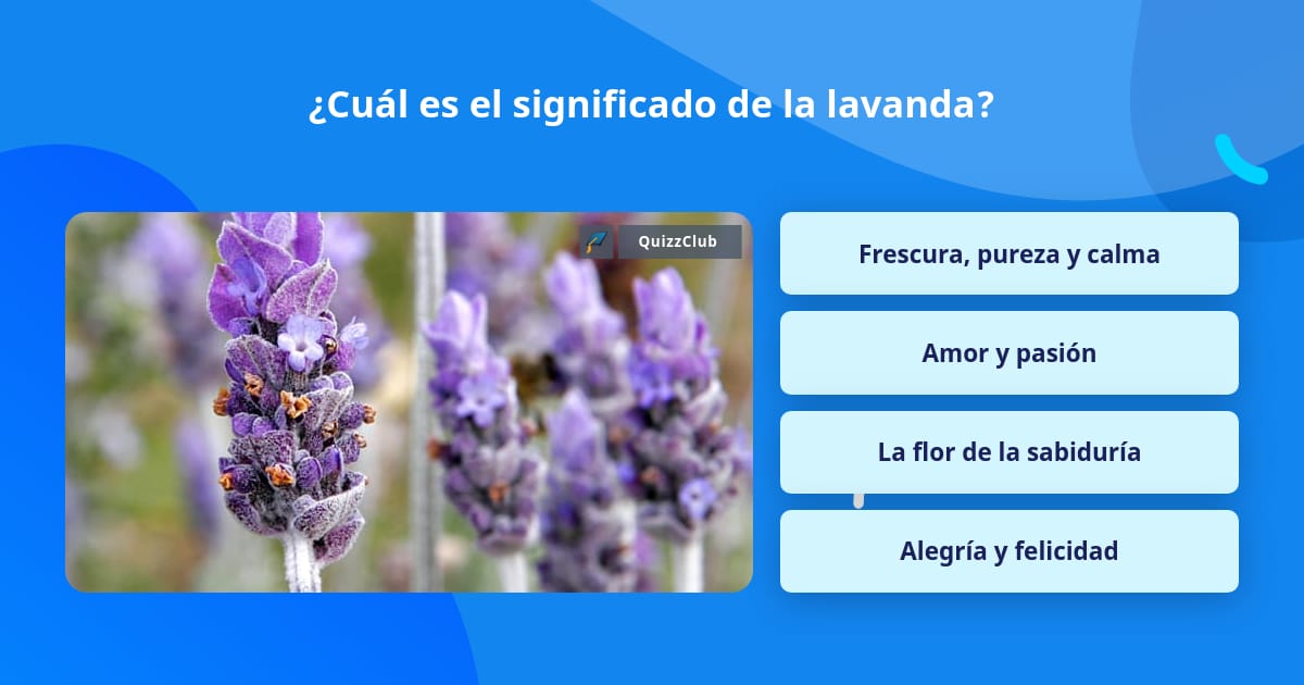 Cuál es el significado de la lavanda? | La respuesta de Trivia |