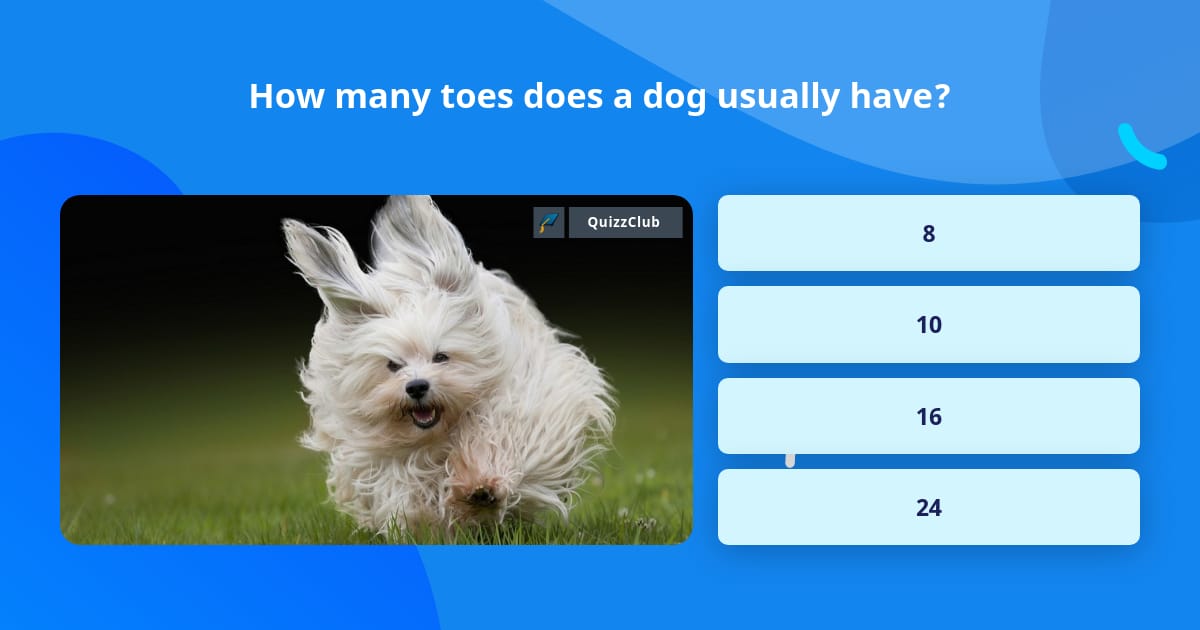 How many toes does a dog usually have? | Trivia Answers | QuizzClub