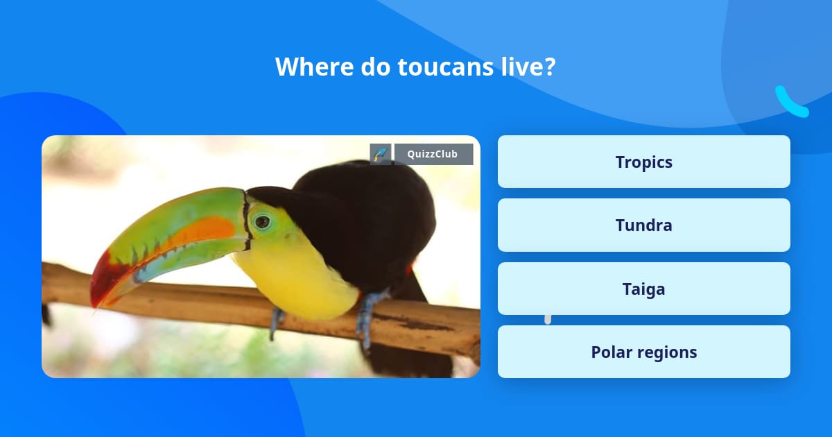 where-do-toucans-live-trivia-answers-quizzclub