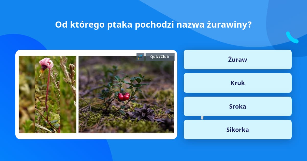 Nazwa Ptaka Na 8 Liter Od którego ptaka pochodzi nazwa... | Odpowiedzi na pytania | QuizzClub
