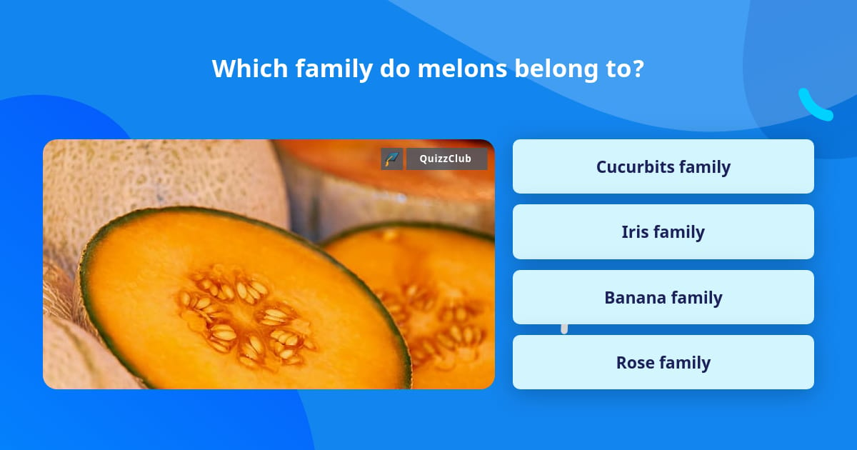 which-family-do-melons-belong-to-trivia-answers-quizzclub