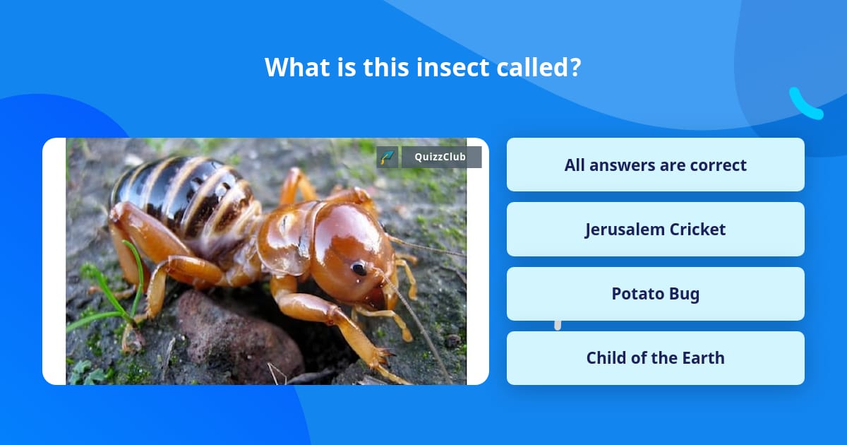 What is this insect called? | Trivia Questions | QuizzClub