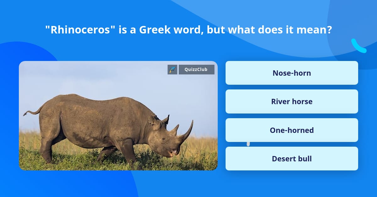 rhinoceros plural form