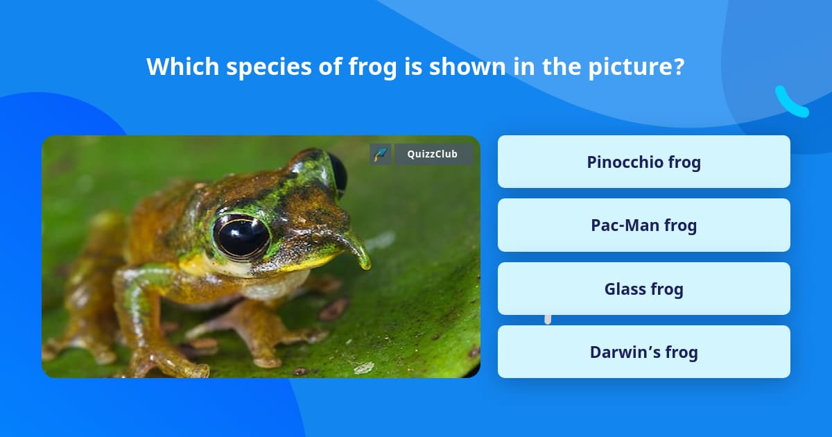 Which species of frog is shown in... | Trivia Answers | QuizzClub