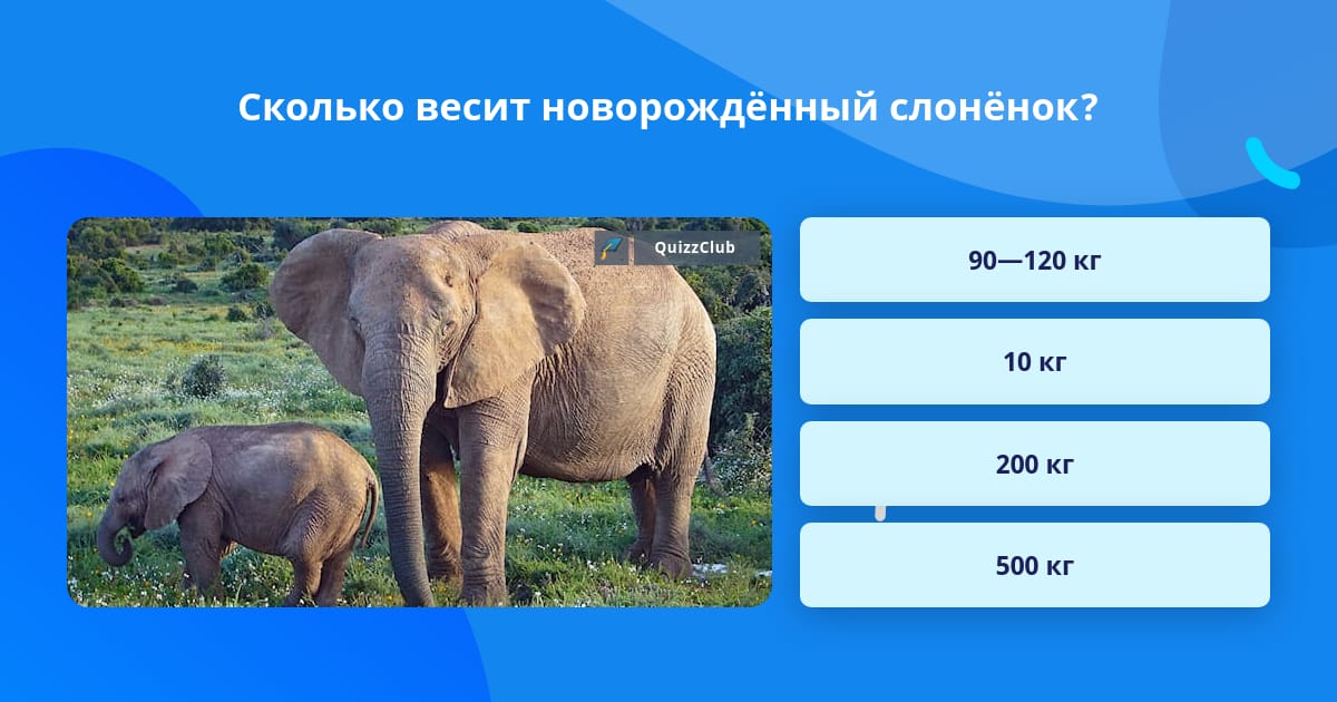 Вешу как слон