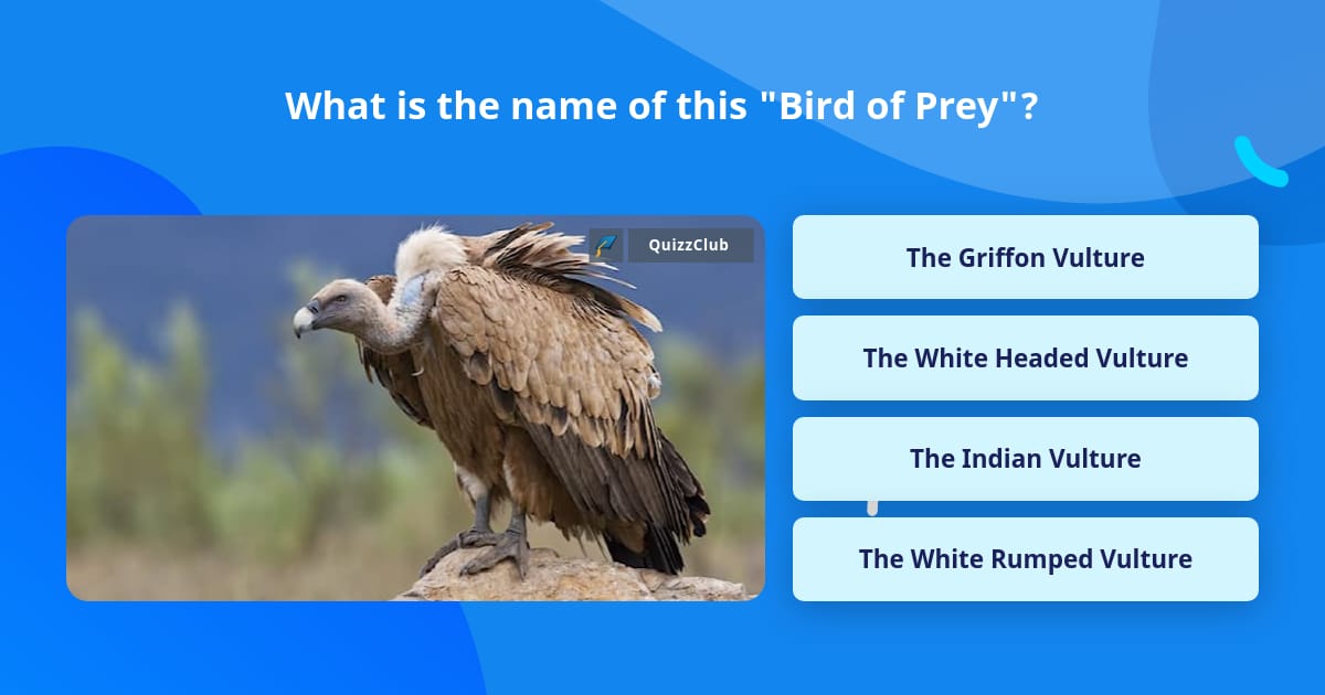 What Is The Name Of This Bird Of Prey Trivia Questions