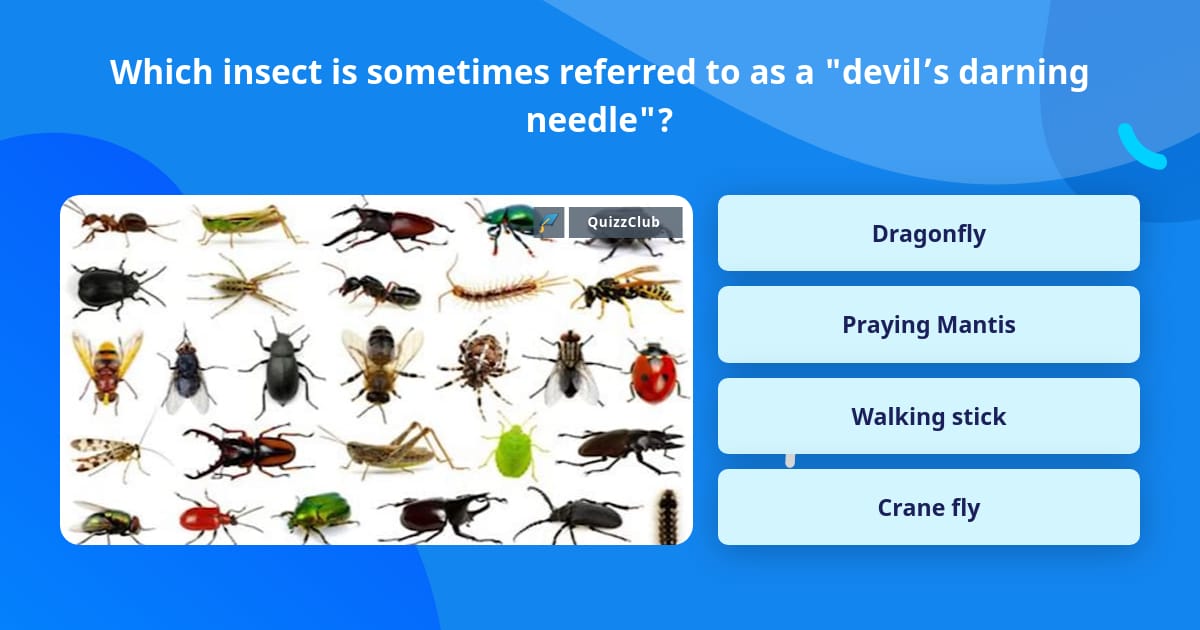 Trivia In Insect Which insect is sometimes referred... | Trivia Questions | QuizzClub