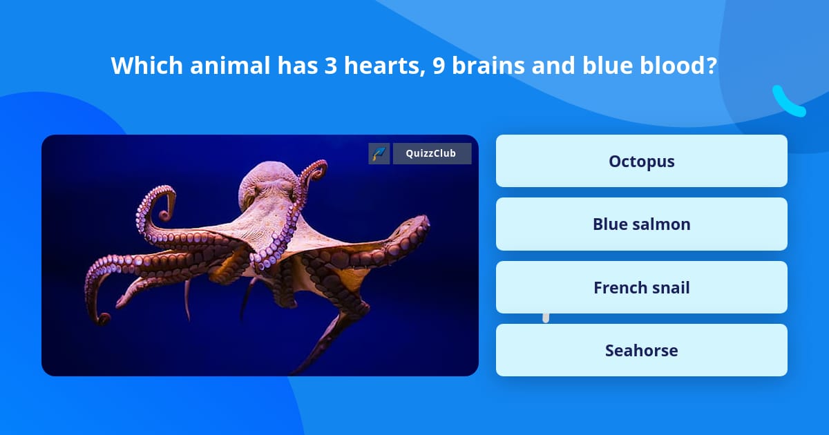 Which animal has 3 hearts, 9 brains... | Trivia Answers | QuizzClub