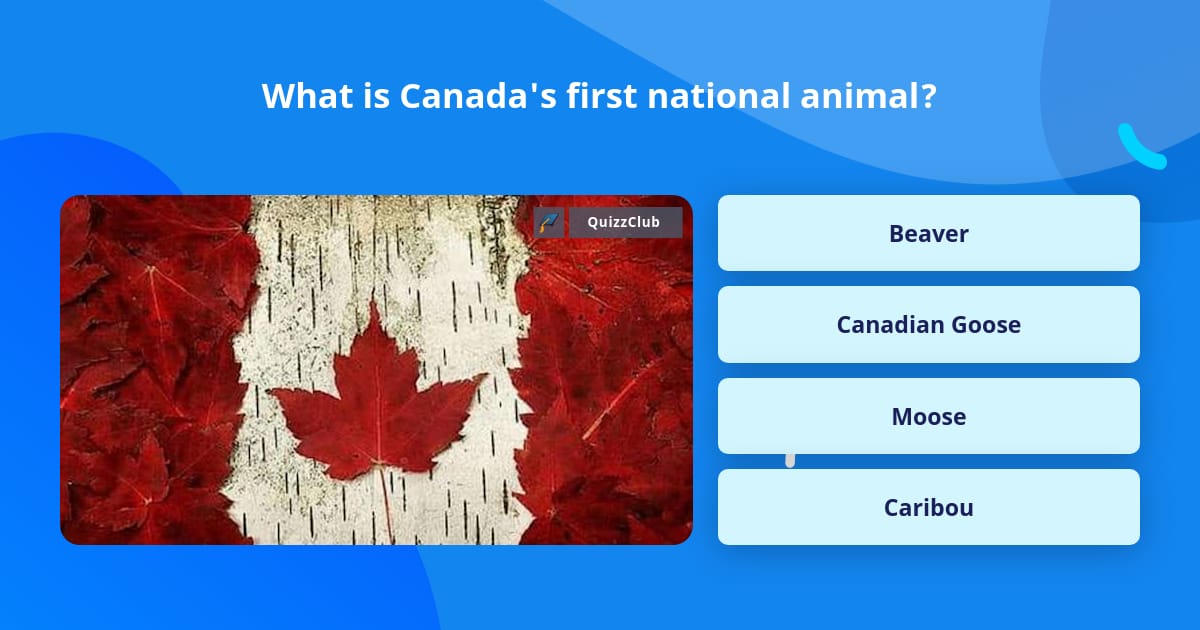 What Is Canada S First National Animal