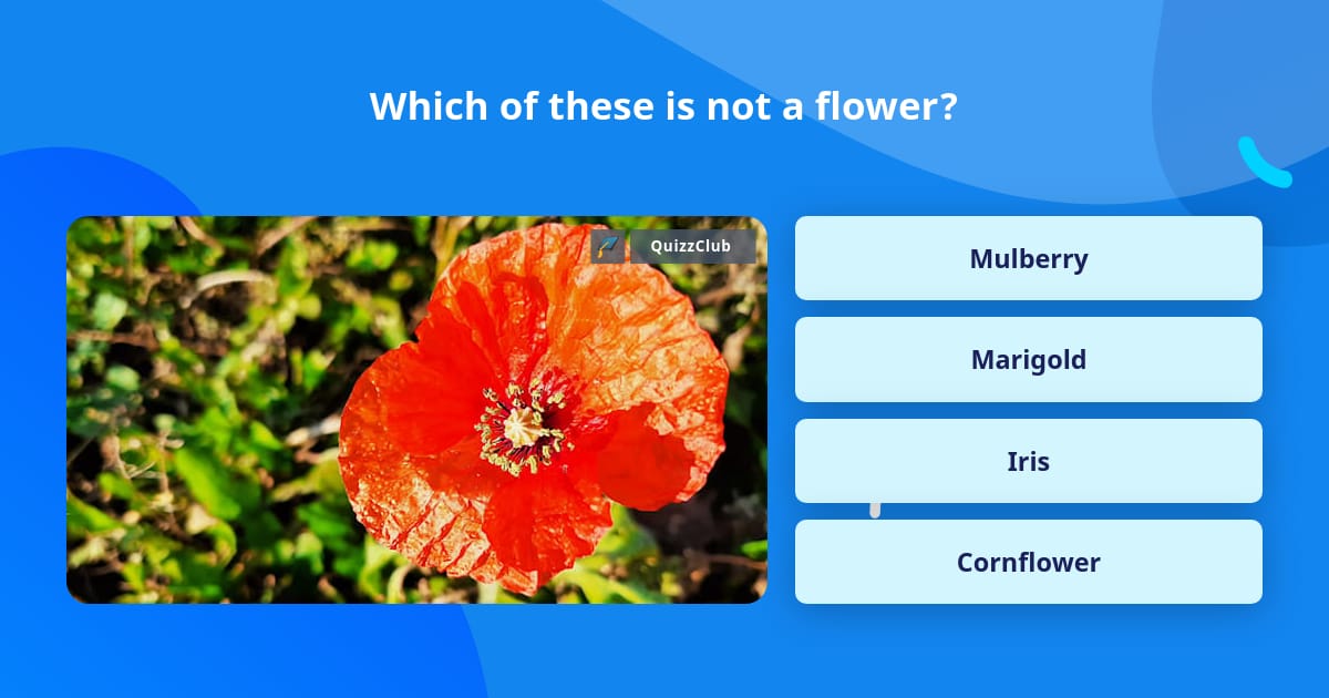 which-of-these-is-not-a-flower-trivia-questions-quizzclub