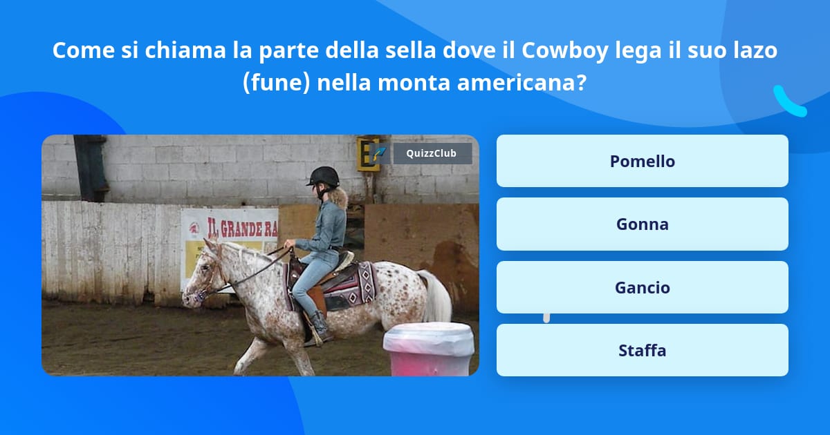 La sella e il pomolo del cow-boy - SEF Italia