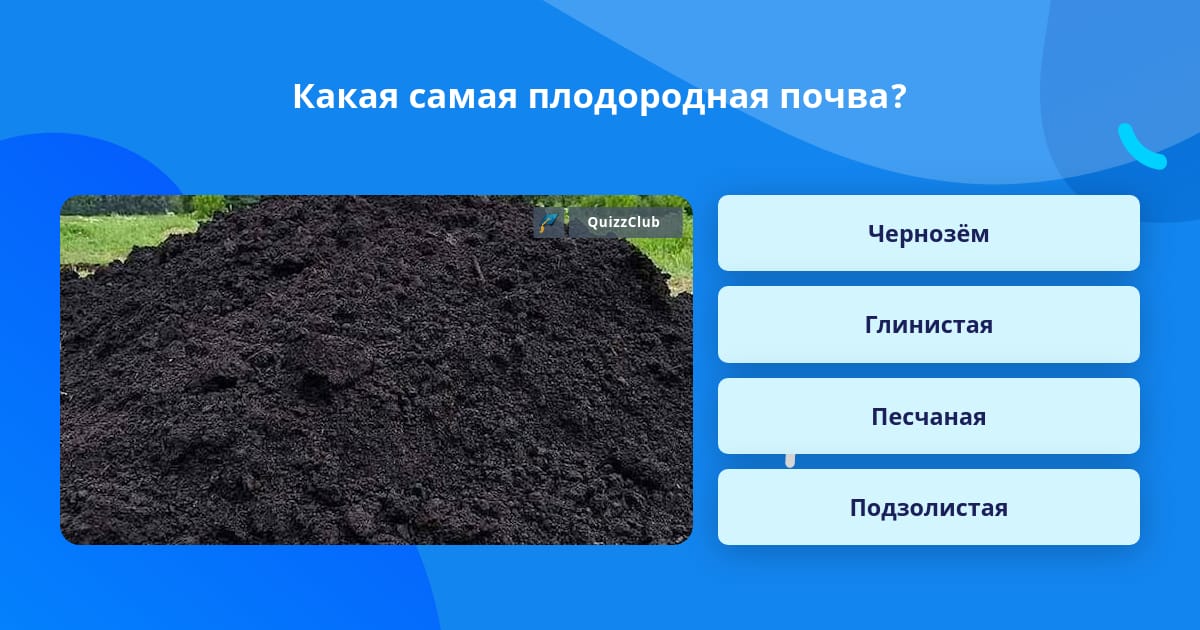 Какая природная зона самая плодородная почва чернозем. Самые неплодородные почвы.