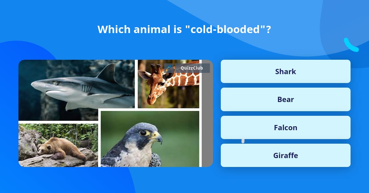 Which Animal Is cold blooded Trivia Answers QuizzClub