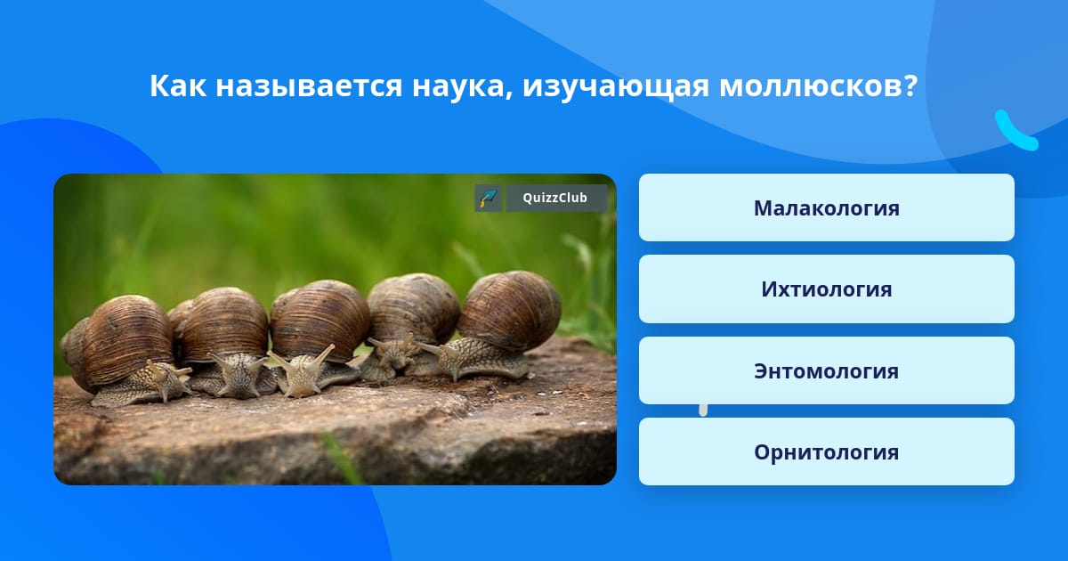 Как называется наука их изучающая. Как называется наука их изучающая