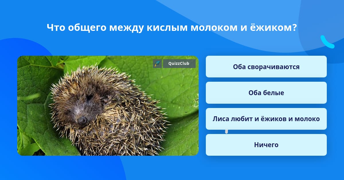 Что общего между ежиком и молоком