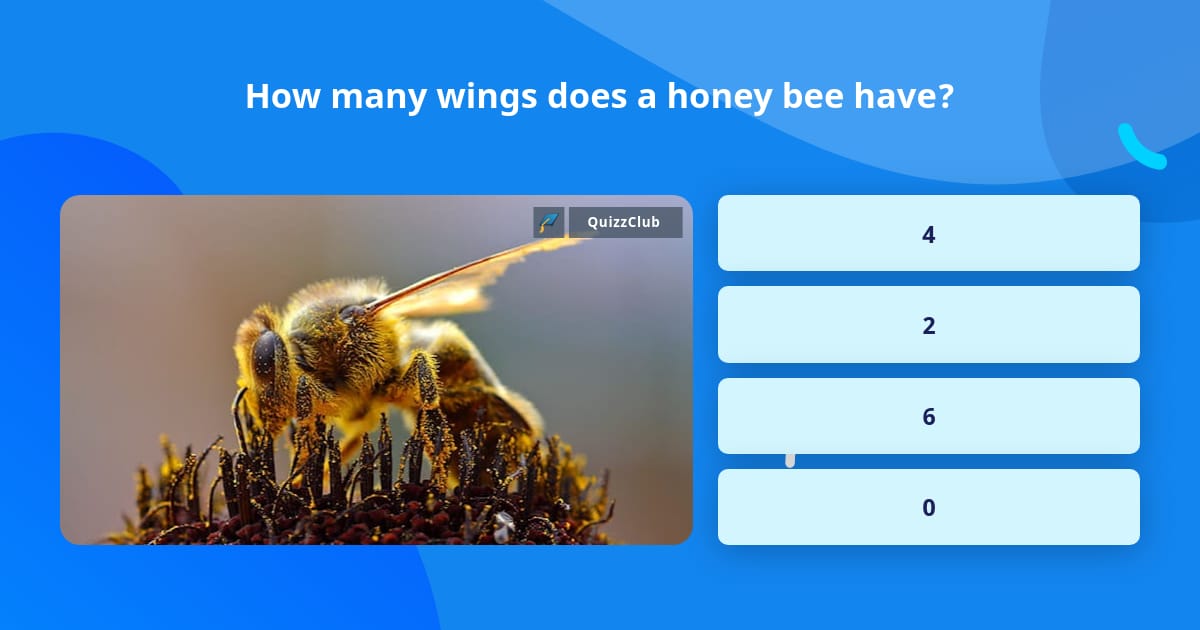 how-many-wings-does-a-honey-bee-have-trivia-questions-quizzclub