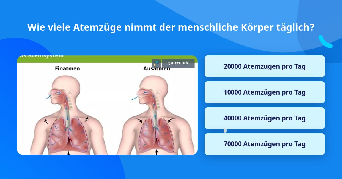 Wie Viele Atemzüge Pro Tag