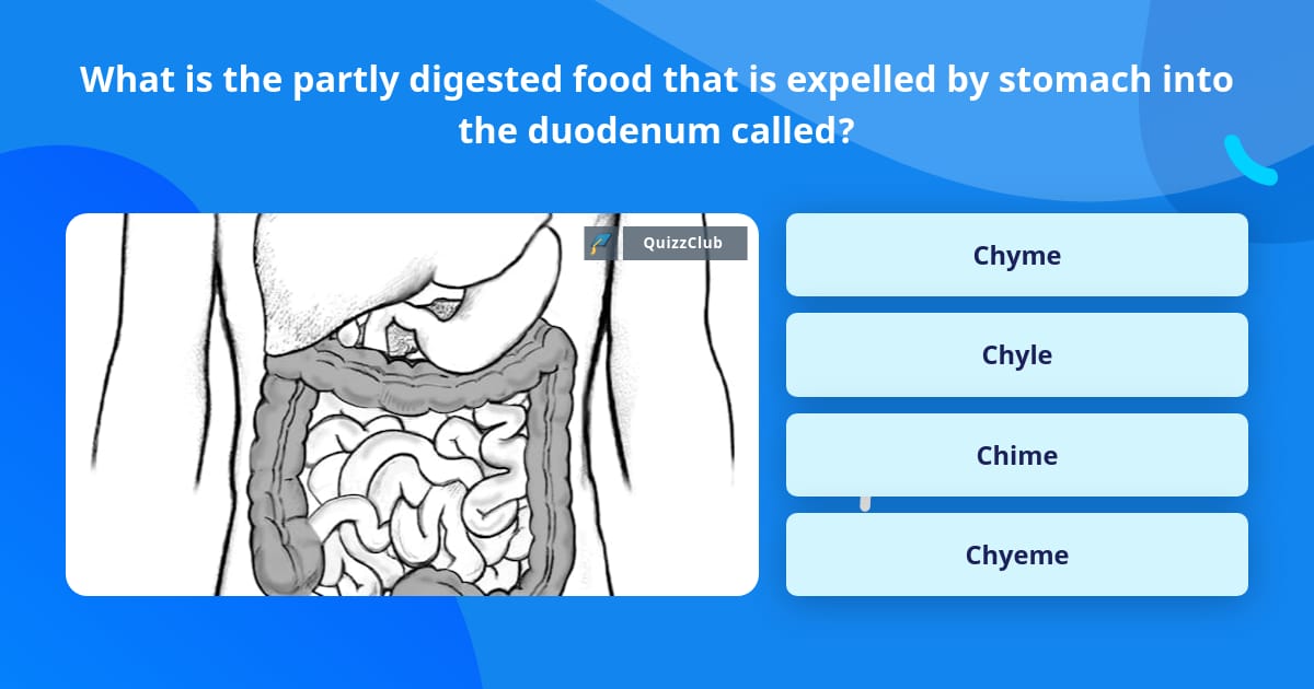 digestive-system-processes-biology-for-majors-ii