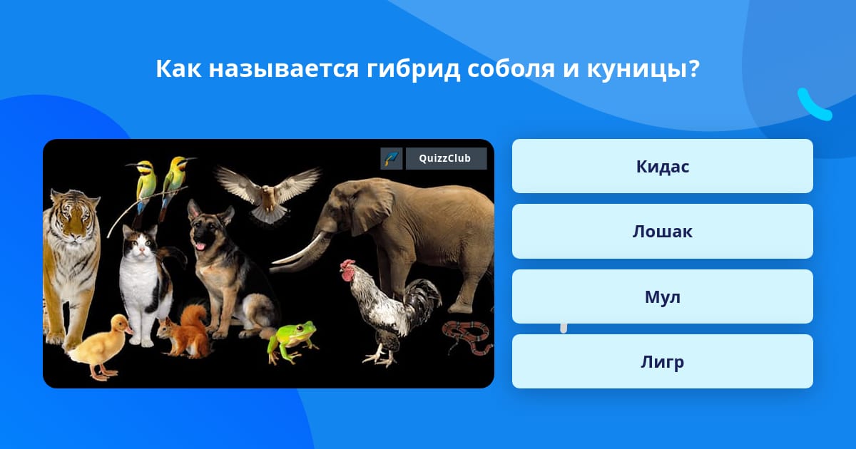 Гибридами называют организмы