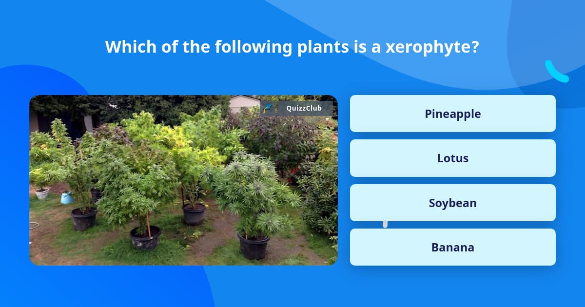 Which Of The Following Plants Is A Trivia Questions QuizzClub