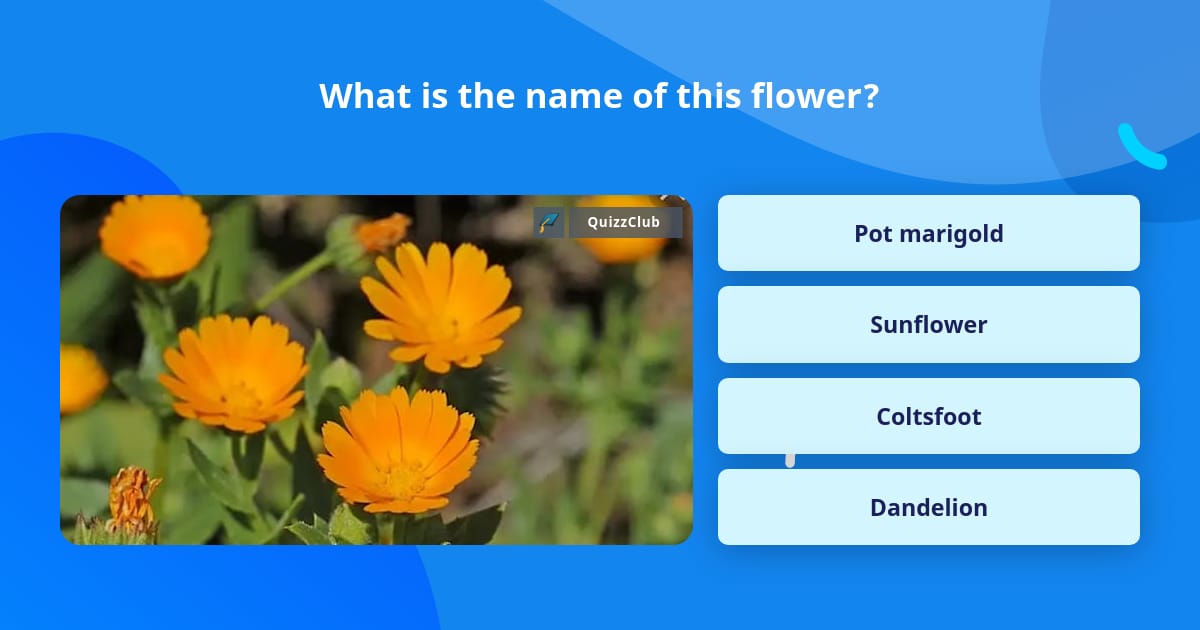 What is the name of this flower? Trivia Answers