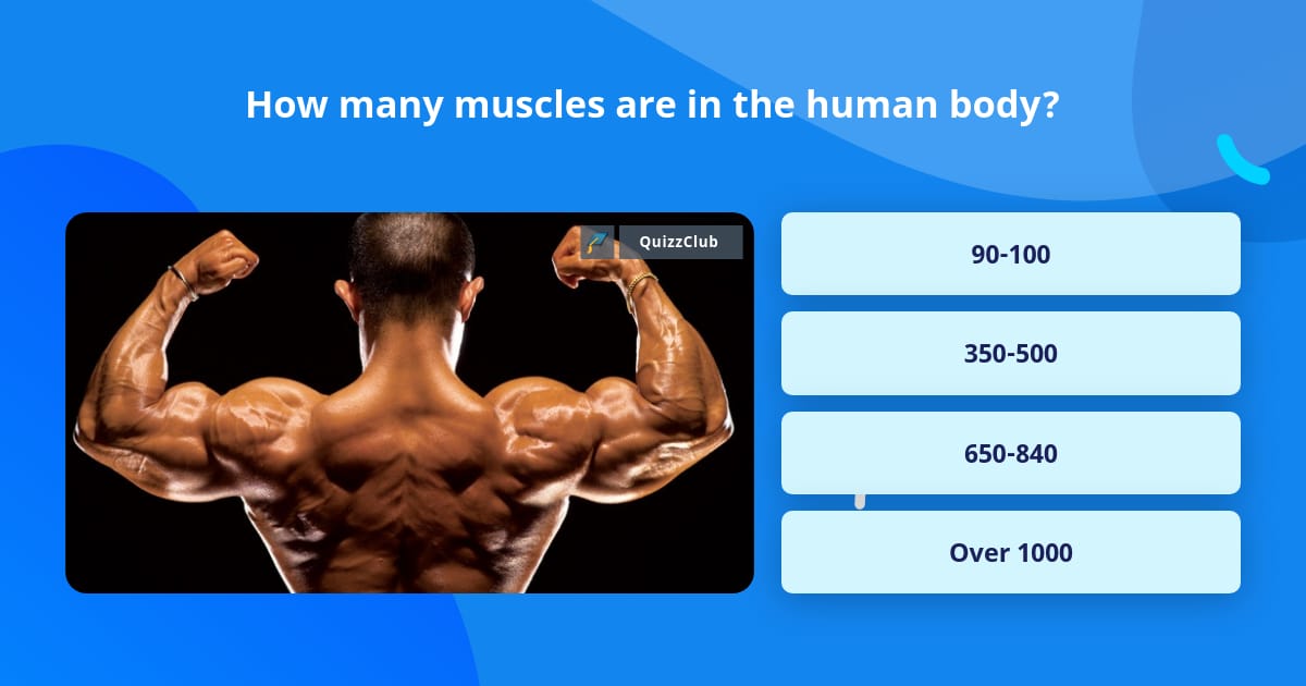 How many muscles are in the human body? | Trivia Answers | QuizzClub