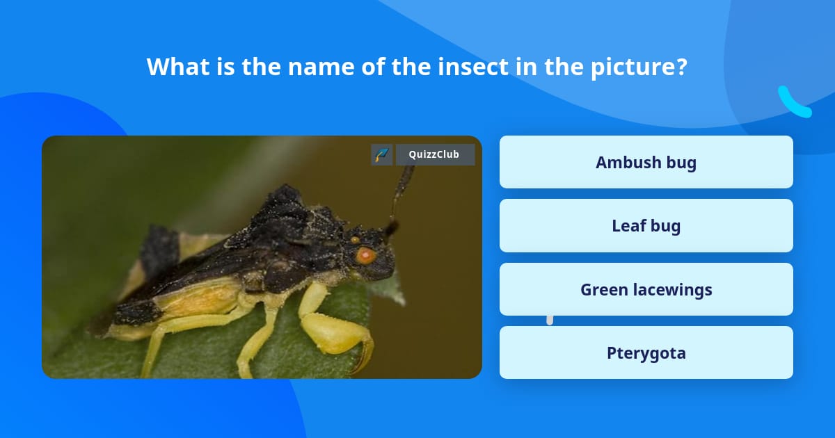 Trivia In Insect What is the name of the insect in... | Trivia Questions | QuizzClub