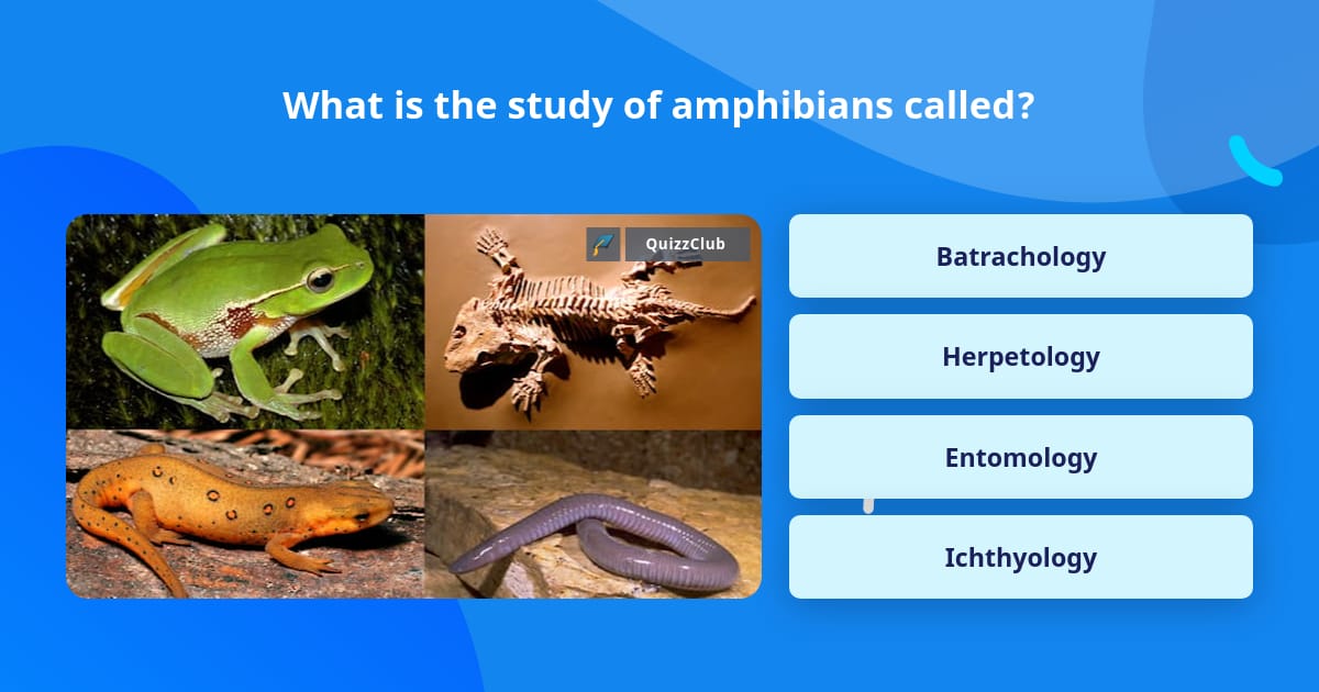 What is the study of amphibians called? | Trivia Questions | QuizzClub