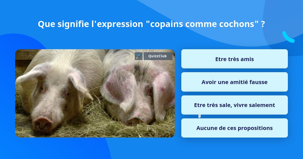 Que signifie l'expression "copains... Questions
