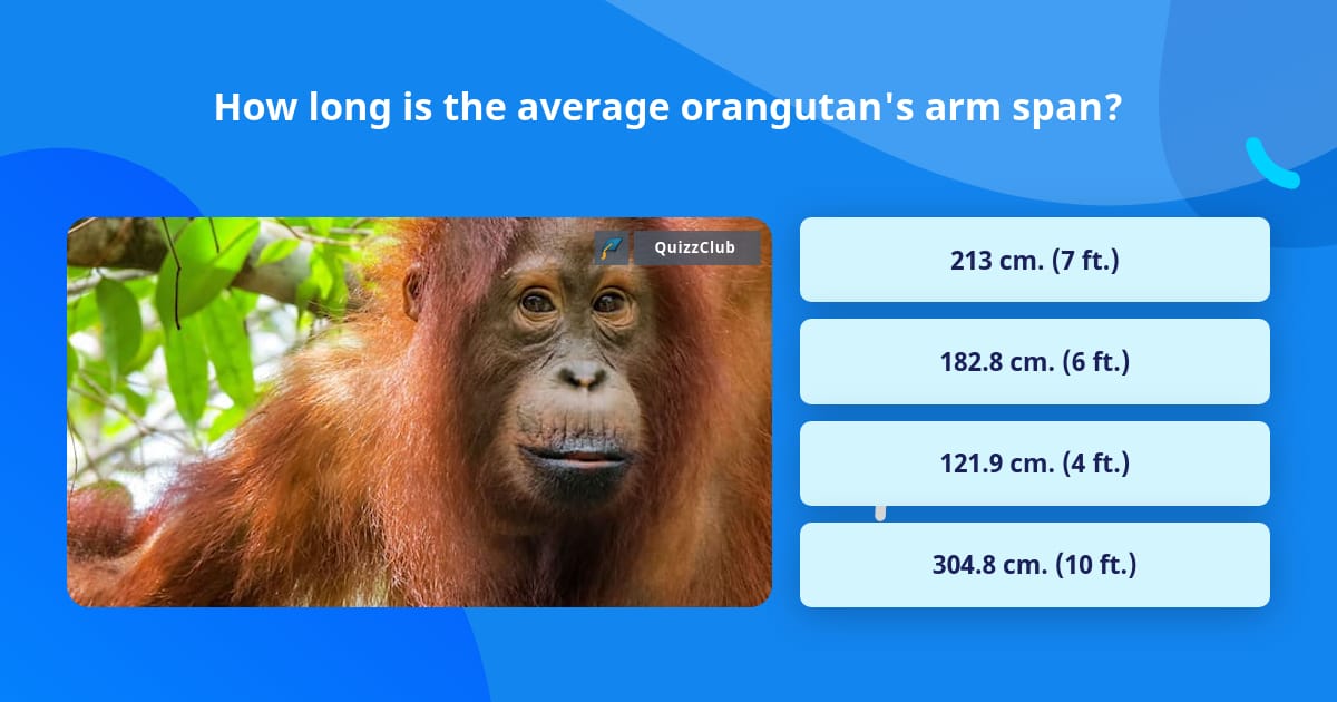 how-long-is-the-average-orangutan-s-trivia-questions-quizzclub