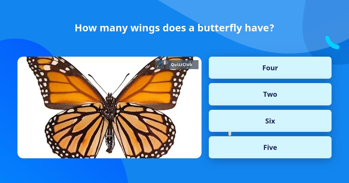 how-many-wings-does-a-butterfly-have-trivia-questions-quizzclub