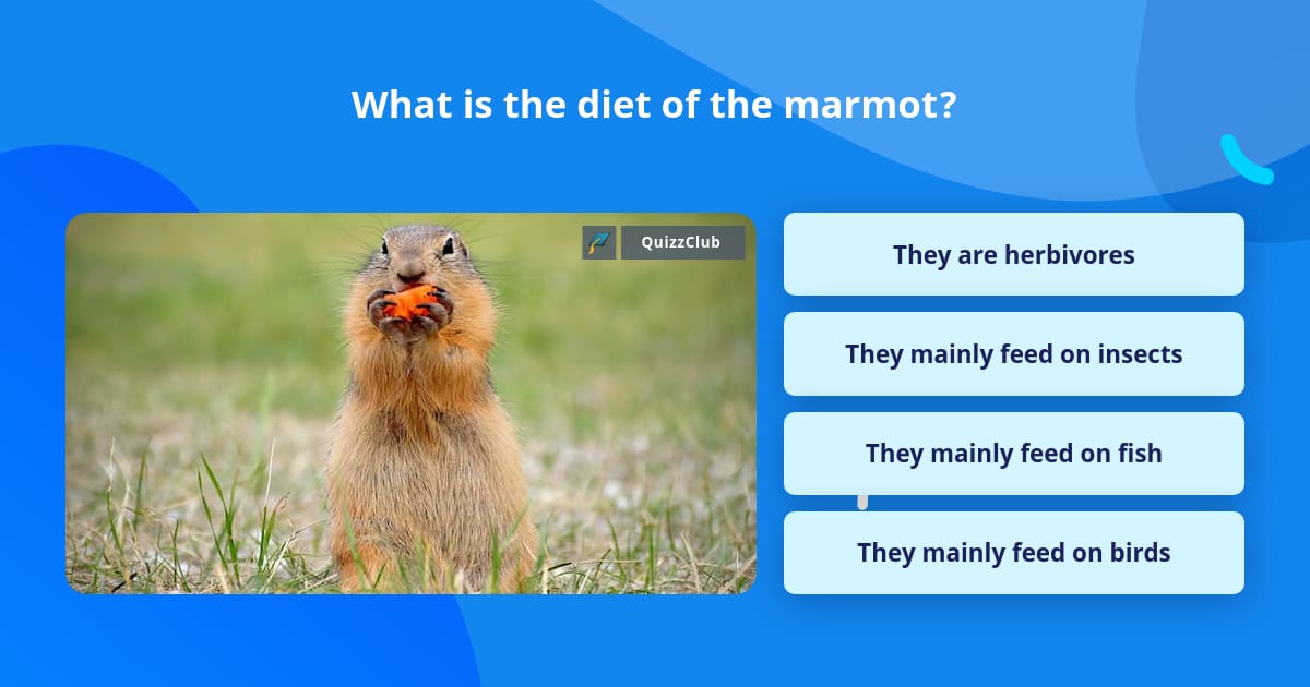 What is the diet of the marmot? | Trivia Questions | QuizzClub