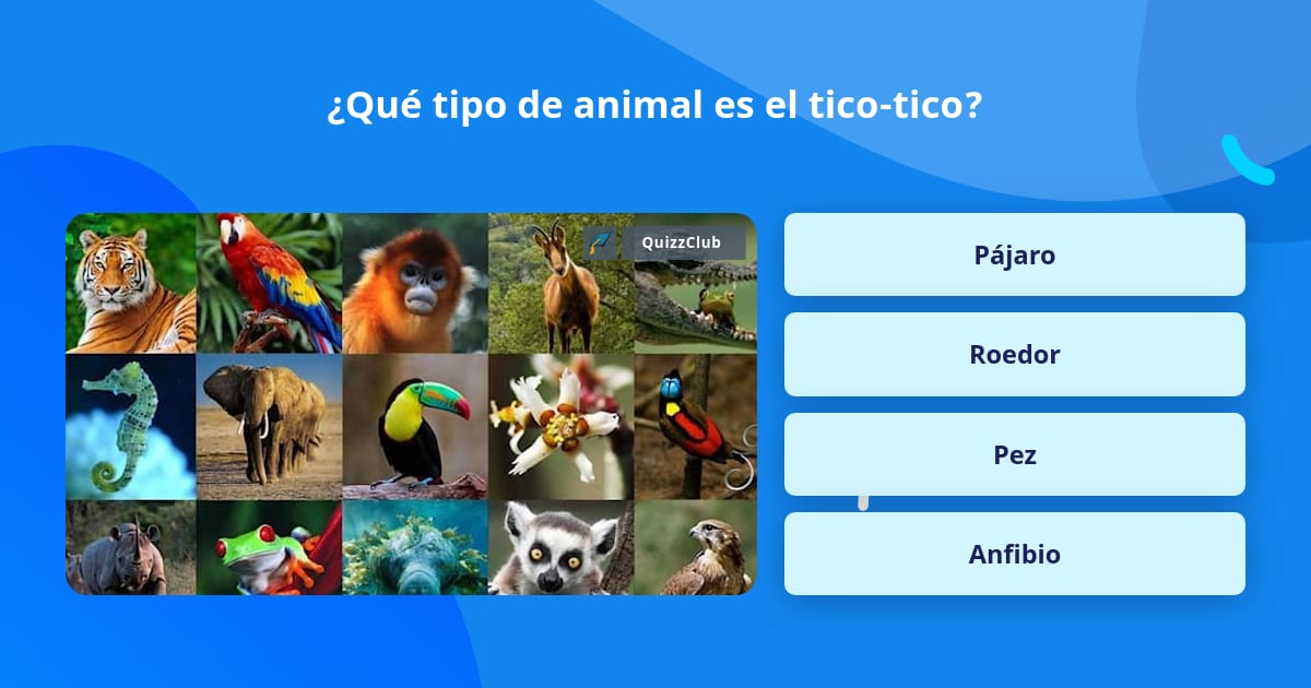 qu-tipo-de-animal-es-el-tico-tico-la-respuesta-de-trivia