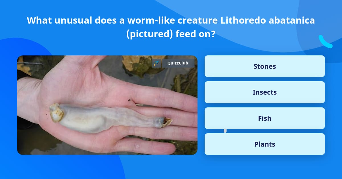 What unusual does a worm-like... | Trivia Questions | QuizzClub