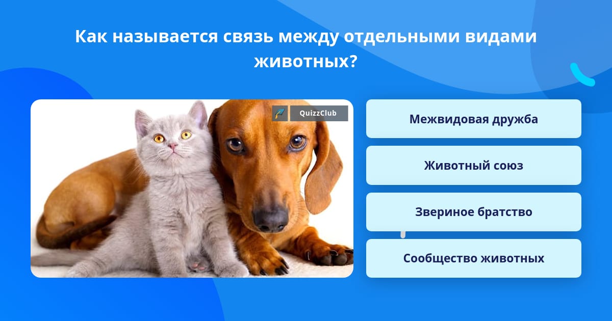 Как называется взаимоотношение цветов в 1 картине