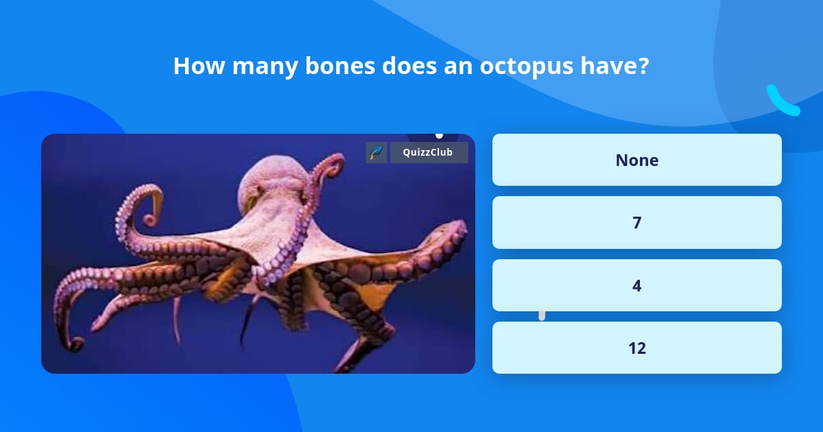 How many bones does an octopus have? | Trivia Questions | QuizzClub