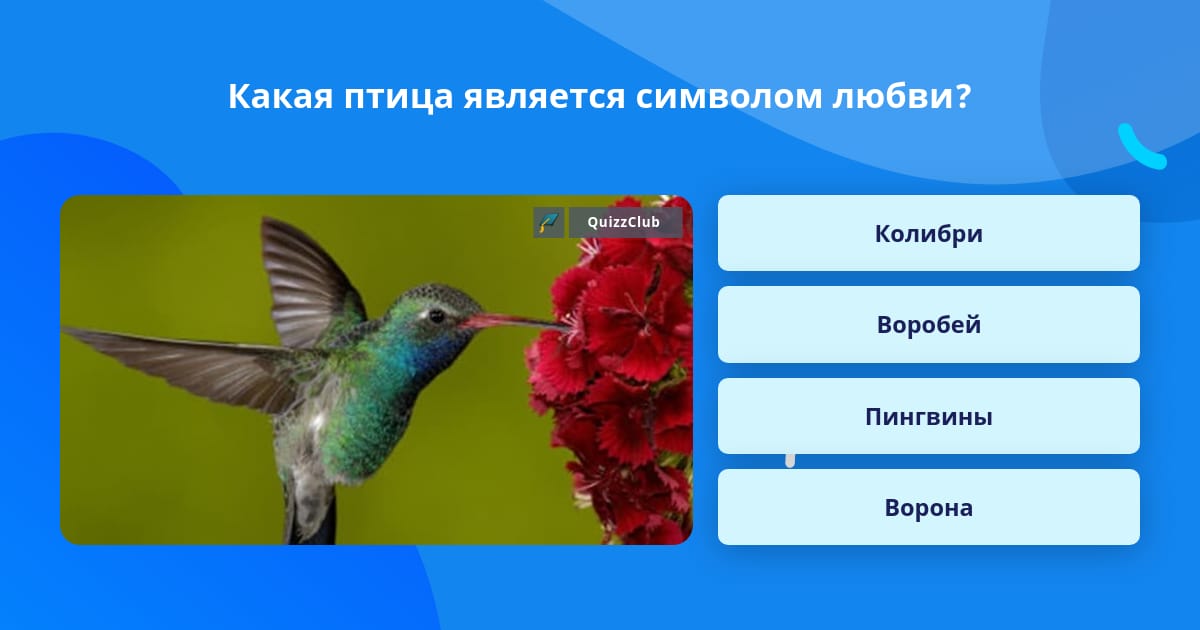 Какая птица является символом педагогики. Какая птица является символом педагогики