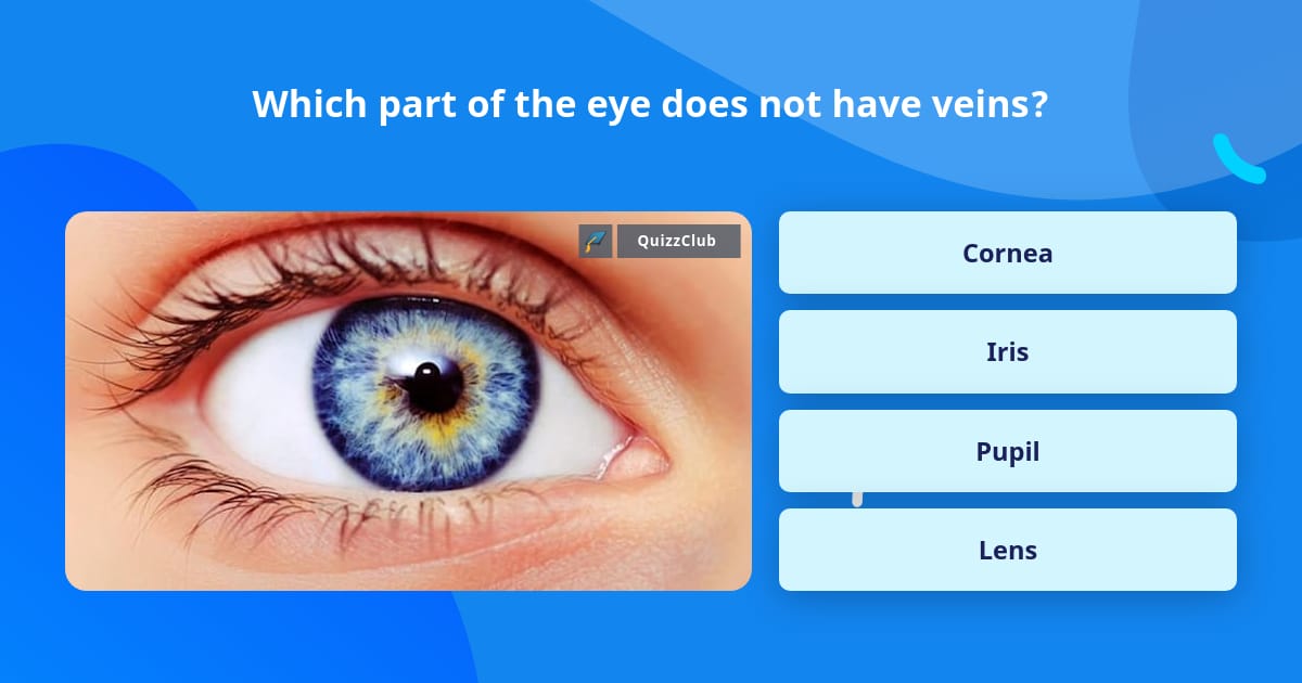 Which part of the eye does not have... | Trivia Questions | QuizzClub