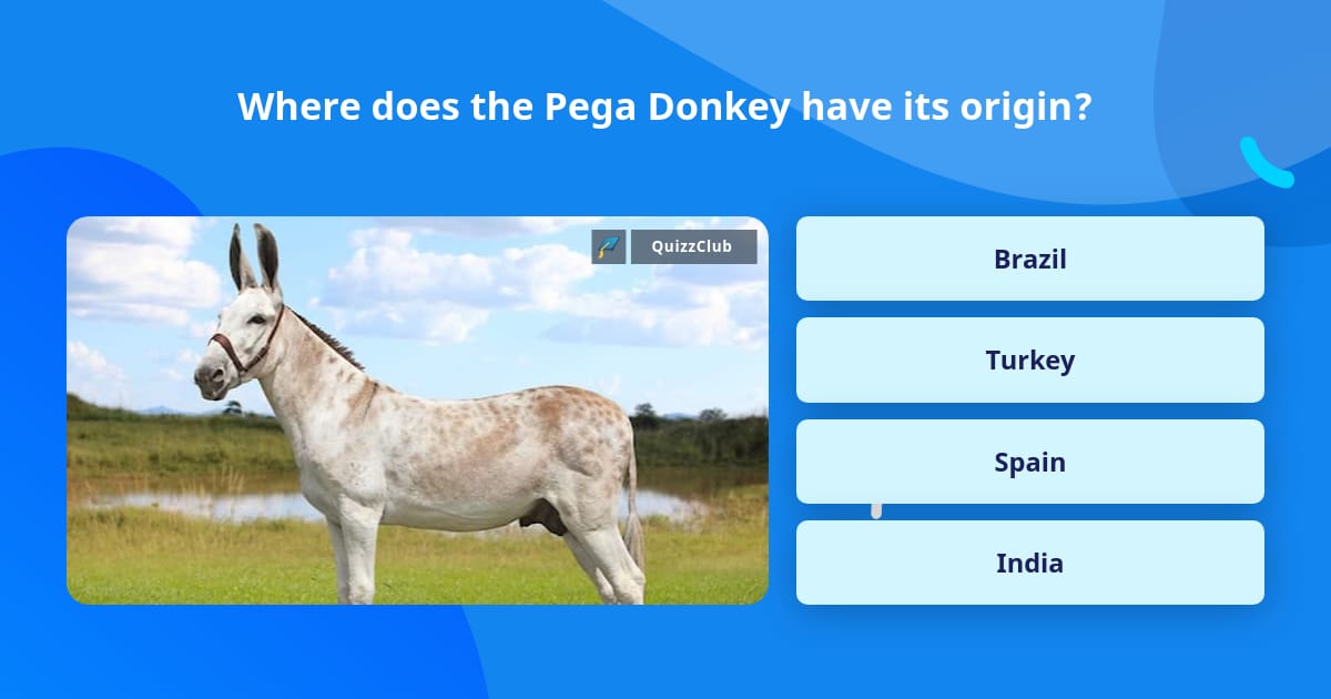 Where does the Pega Donkey have its... | Trivia Questions | QuizzClub